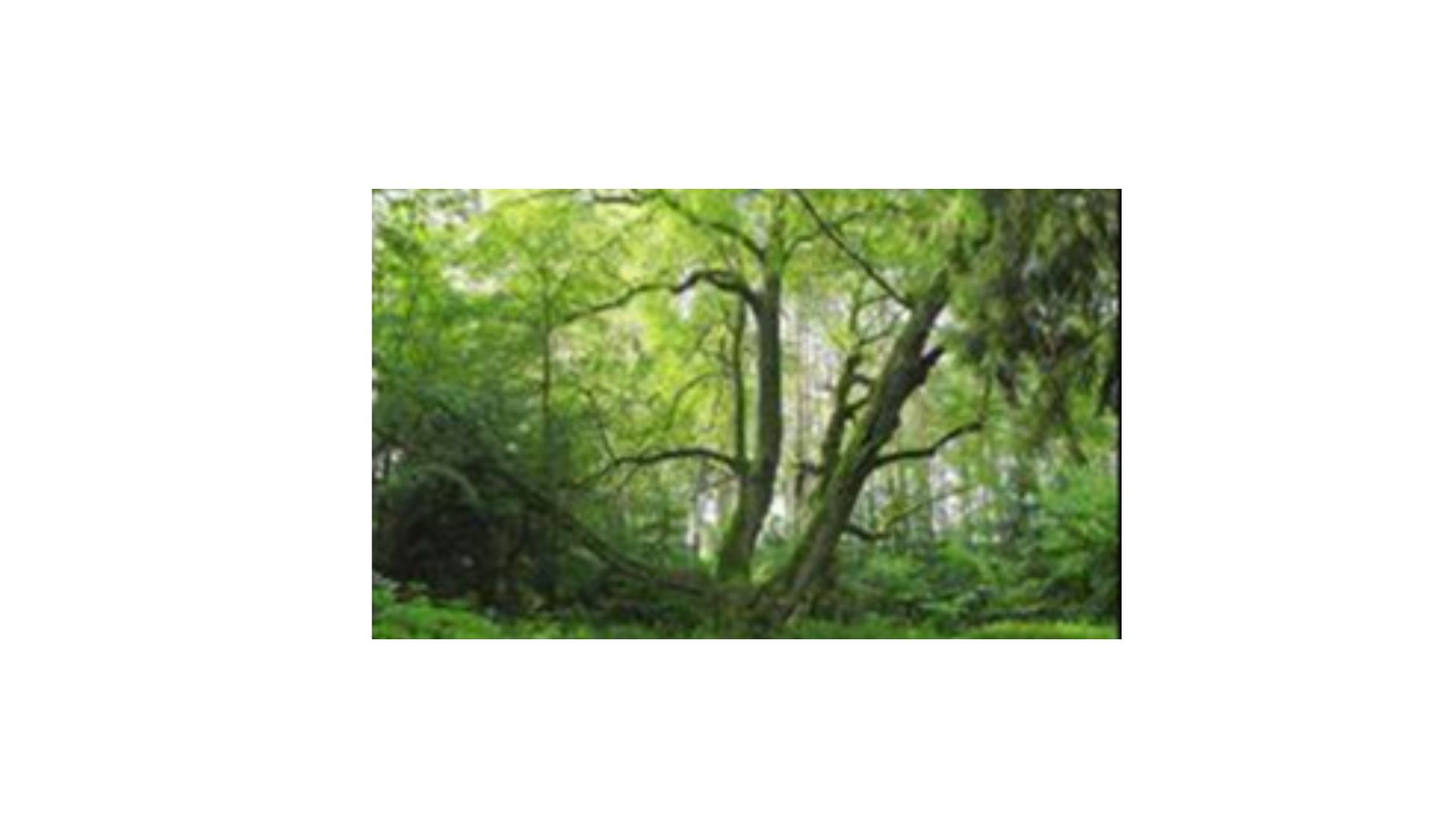 bit-arrangement1-image