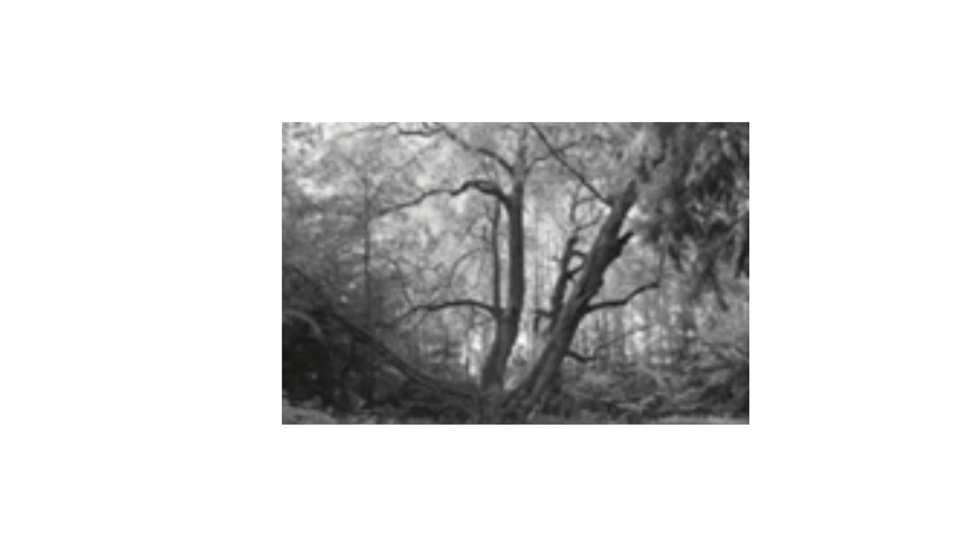 bit-arrangement2-image